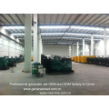 Cummins Diesel Genset OEM and ODM Factory (25-2500kVA)